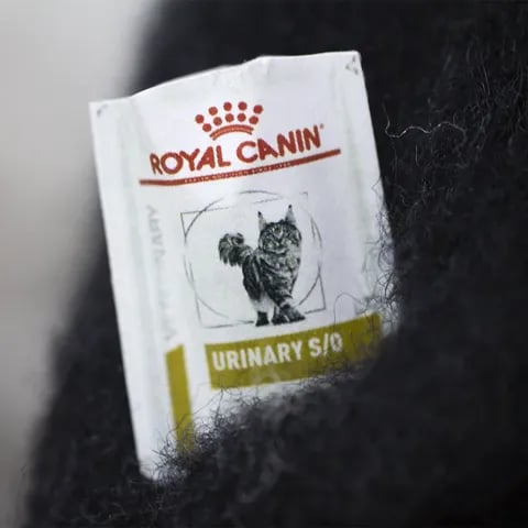 🎄🎁Wool Felt Familiars – Quirky Handmade Companions🐱